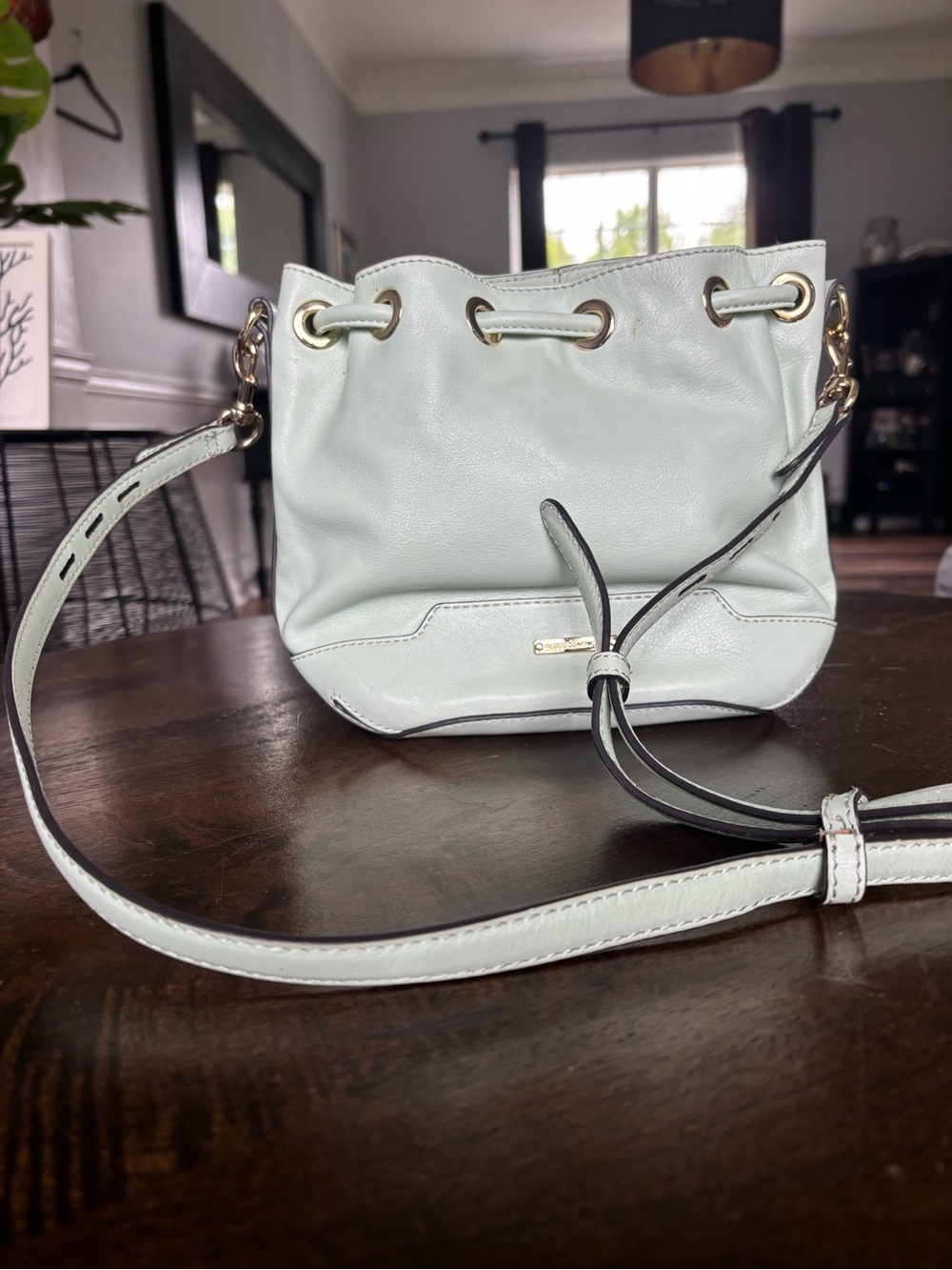 Rebecca Minkoff Mini Fiona Mint Green Leather Drawstring Bucket Crossbody Bag